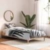 Anita & Bella Art Palm Leaves Dream Comforter Set - Deny Designs